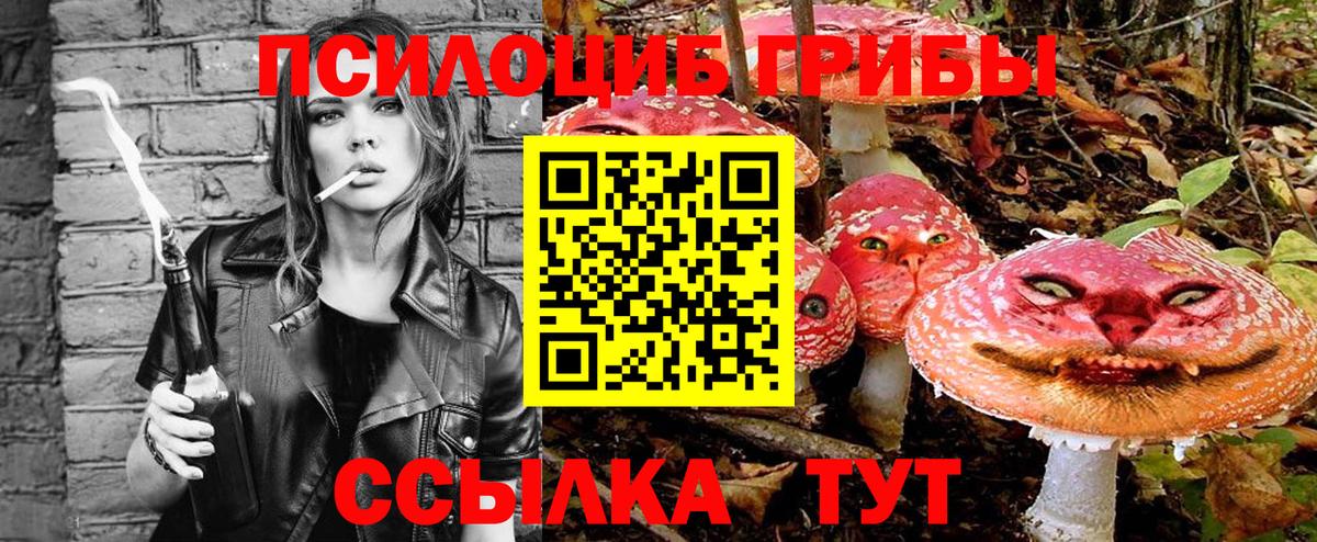 Псилоцибиновые грибы MAGIC MUSHROOMS  Вход с VPN  Гагарин 