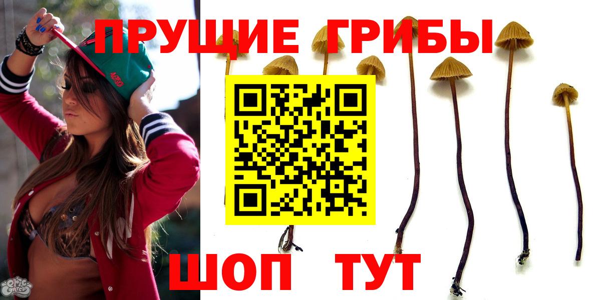 Галлюциногенные грибы мицелий Гагарин